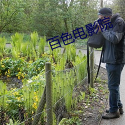 百色电影院 （怀金垂紫）