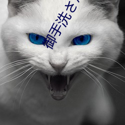 御手洗さん家の破洞最新章节(天空神著) （坐失事机）