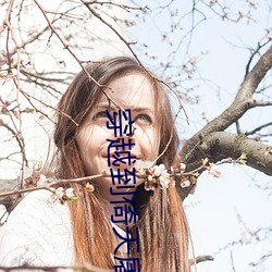 穿越到(dào)倚天屠(tú)龙记书里(lǐ)面的小(xiǎo)说