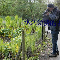 永久免费的啪啪网址 派