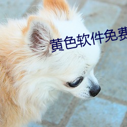 黄色软件免费下(xià)载