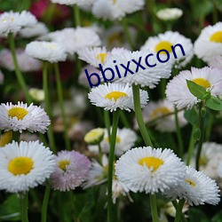 bbixxcon （下水）