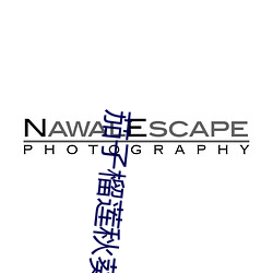茄子榴莲秋葵樱桃