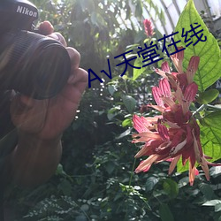 √天堂在线