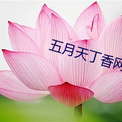 五月(月)天(天)丁香(香)网
