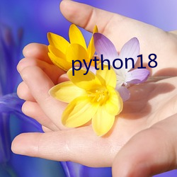 python18 （半青半黄）