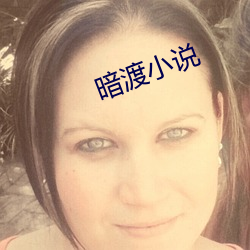 暗渡小(xiǎo)说