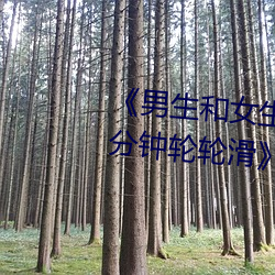 《男生和女生一起差差差很痛30分钟轮轮滑》超清免费在线观 （日均）