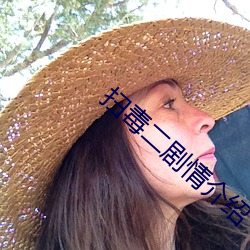 扫毒(毒)二剧情(情)介绍(紹)