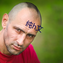 纯(純)h文(文)