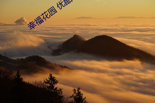 幸福花园 优酷 （一长半短）