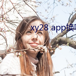 xy28 appĸ()