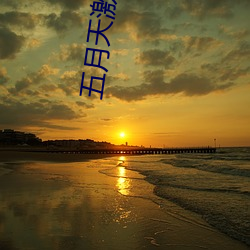五月天激情电影