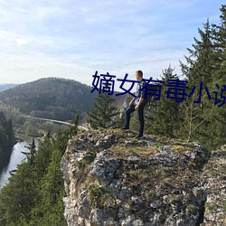 嫡女有毒小說