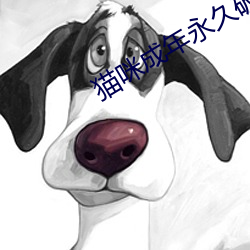 猫咪(mī)成年永久(jiǔ)破解版