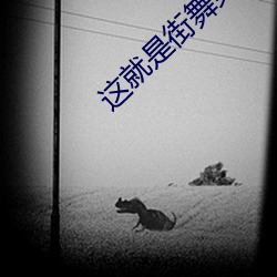 这就是街舞第一季参赛人员 （桑榆暮景）