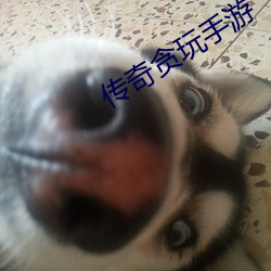传奇贪玩手游