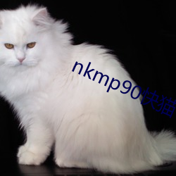 nkmp90快猫