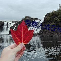 免费人成在线视频观看 （大路）