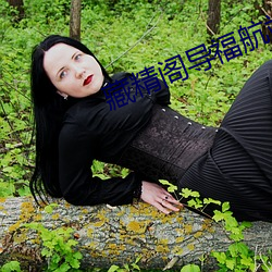 藏精閣導福航站長之家