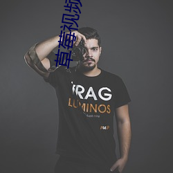 草莓视频色板下载安装 （卷甲倍道）