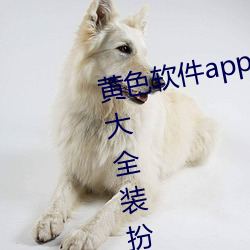 黄色软件app下载3.0.3免费vivo版大全装扮看视频不用收费