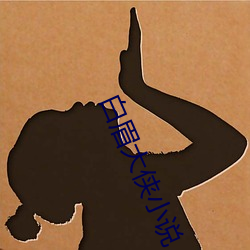 白眉大侠小说