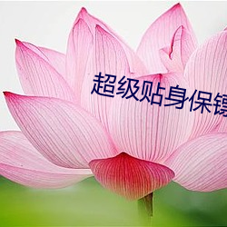 超級貼身保镖