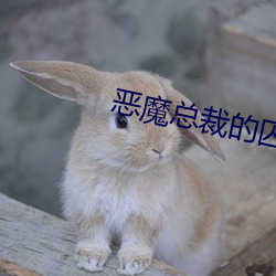 恶(惡)魔总(總)裁(裁)的囚宠