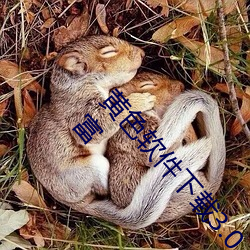 黄色软件下载3.0.3每天vivo版破解:视频资源非常丰富
