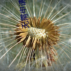 无(無)需(需)申(申)请送(送)彩(彩)金88必胜