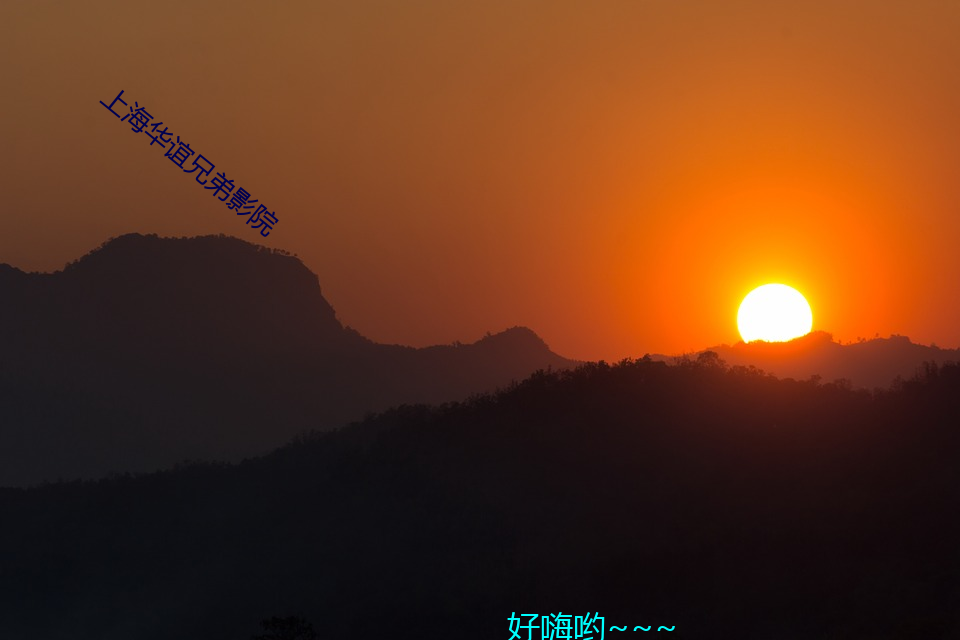 上海华谊兄弟影院(院)