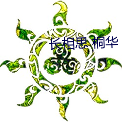 长相思 桐华 （一双两好）