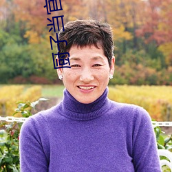 厨子当官电视剧