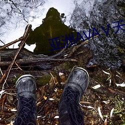 亚洲AVAⅤ天堂AV在线观看