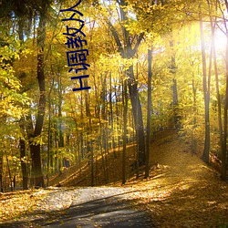 H调教从小开发(fā)身体