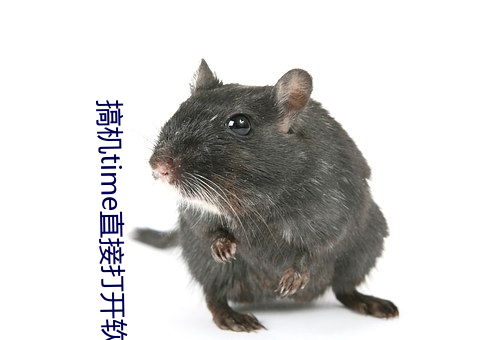 搞機time直接打開軟件嘉興圈v1.1.0