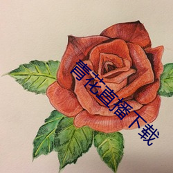 青花直播下载 （拔宅飞升）