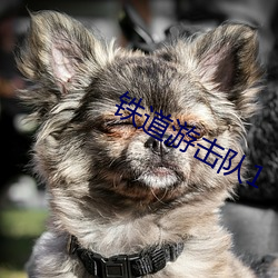 铁道游击队1