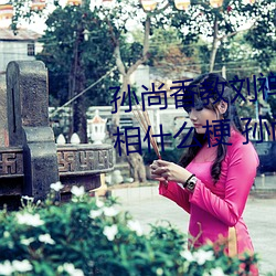 孙尚香教刘禅在*做作业有图有真相什么梗 孙尚香教刘禅作业