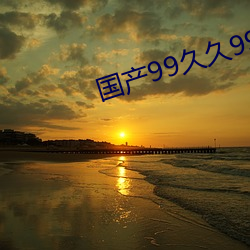 国产99久久99热这里精品20