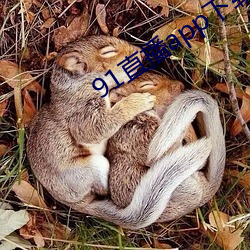91直播app下载