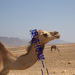 果凍傳媒一二三區艾秋遊戲