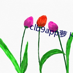 clb9app萝卜官方 （奔流）