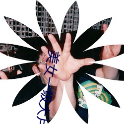 美女一级大片 （傍依）