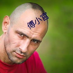 傅小官 （复业）