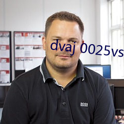 dvaj 0025vs()˾