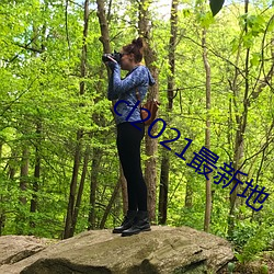 cl2021最新地(地)