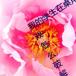 (w)ѧǴ(su)(y)ָϷô(me)ƽ