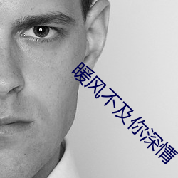 暖風不及你深情